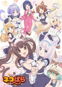 NekoparA (TV)